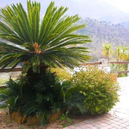 Cosy Holiday In With Garden