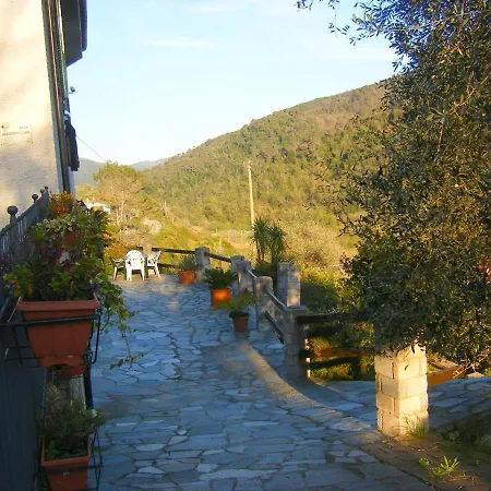 Cosy Holiday In With Garden *